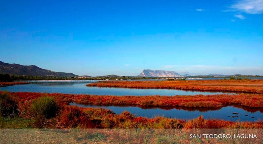 Vila Ginepro House - San Teodoro San Teodoro  Exteriér fotografie